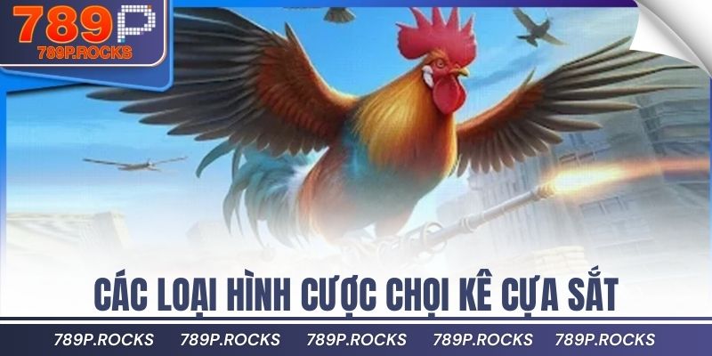Mẹo Nuôi Gà Đá Cựa Sắt Để Tăng Sức Mạnh Và Đòn Đánh 3 Các loại hình cược chọi kê cựa sắt