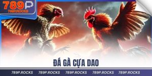 đá gà cựa dao