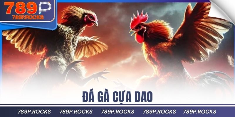 đá gà cựa dao