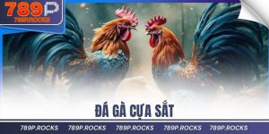 Đá gà cựa sắt