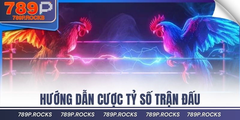 Mẹo Nuôi Gà Đá Cựa Sắt Để Tăng Sức Mạnh Và Đòn Đánh 4 Hướng dẫn cược tỷ số trận đấu