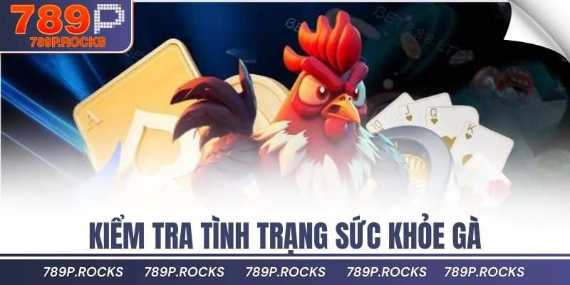 Kiểm tra tình trạng sức khỏe gà