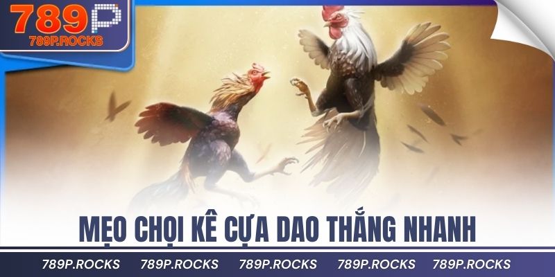 Bí Quyết Thắng Lớn Khi Tham Gia Đá Gà Cựa Dao Tại Nhà 3 Mẹo chọi kê cựa dao thắng nhanh