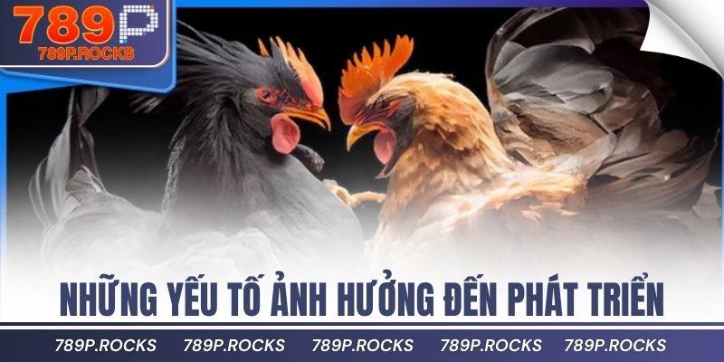 Những yếu tố ảnh hưởng đến phát triển chân gà